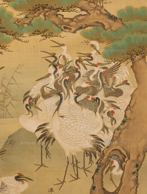 双幅 鶴亀松竹梅図（部分)[20076001489]の写真・イラスト素材