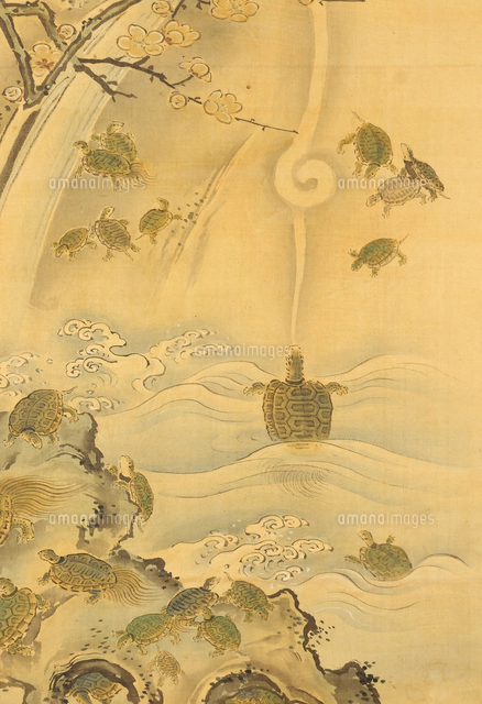 松竹梅鶴亀双幅 双幅 鶴亀松竹梅図（部分)[20076001489]の写真・イラスト素材