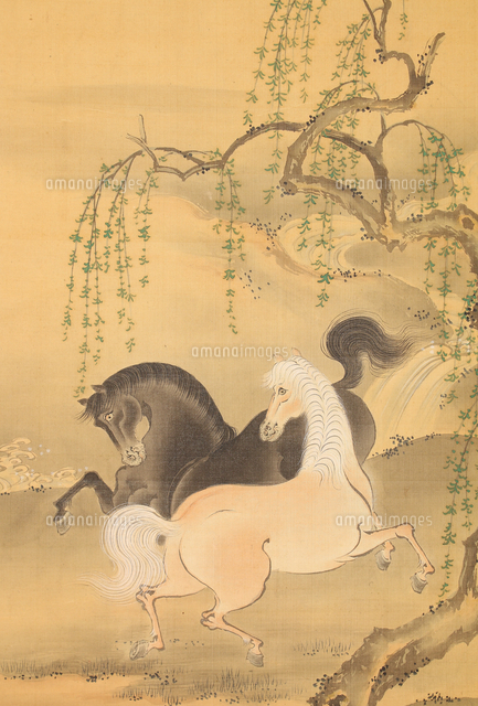 双幅 柳下馬図 桜下牛図（部分）[20076001570]の写真・イラスト素材