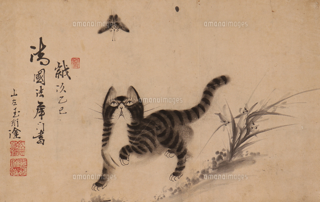猫に蝶図（部分）[20076001594]の写真・イラスト素材｜アマナイメージズ