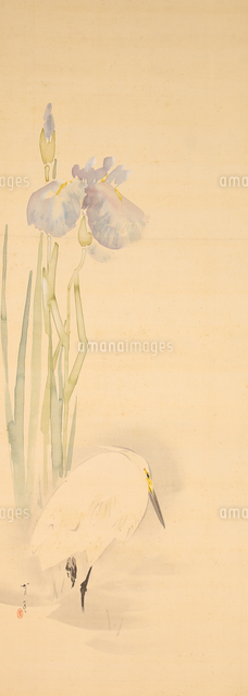 花菖蒲に白鷺図（部分）[20076001790]の写真・イラスト素材｜アマナ