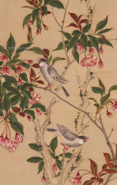 極彩色花鳥図（部分）[20076001836]の写真・イラスト素材｜アマナ