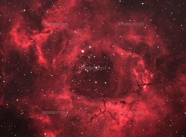 ロンドンのアマチュア天文学者 ばら星雲[20079001272]の写真・イラスト