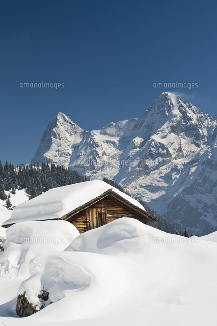 Snow-covered alpine cabin, Muerren, Switzerland, Europe