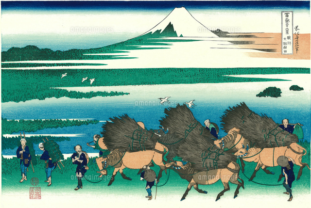 葛飾北斎 富嶽三十六景 駿州大野新田[20086000392]の写真・イラスト