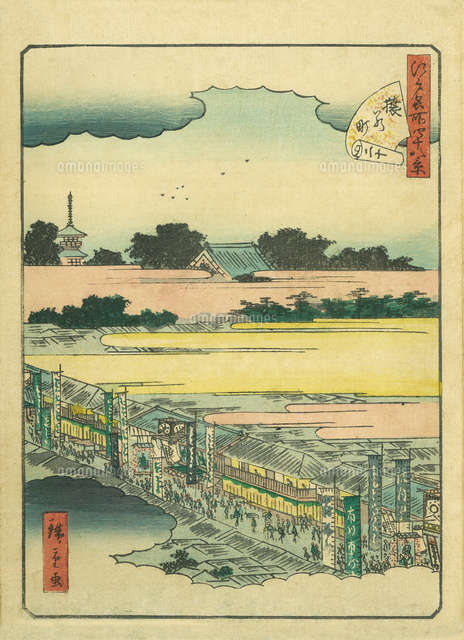 江戸名所四十八景 猿若町[20086000805]の写真・イラスト素材｜アマナ