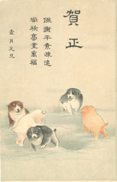 年賀状 犬 の写真素材 イラスト素材 アマナイメージズ