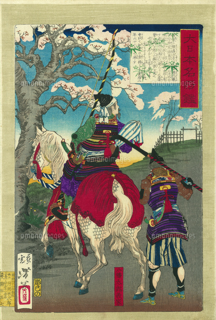 大日本名将鑑 八幡太郎義家[20086000981]の写真・イラスト素材｜アマナ