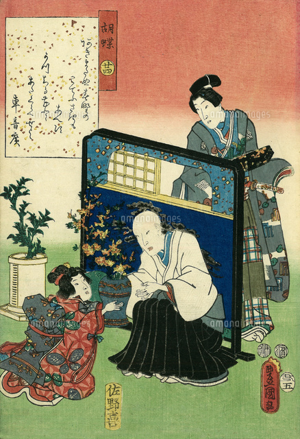 源氏絵 胡蝶[20086001231]の写真・イラスト素材｜アマナイメージズ