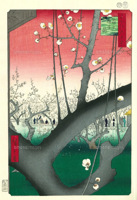 名所江戸百景 両国橋大川ばた[20086001304]の写真・イラスト素材