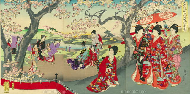 千代田の大奥 観菊[20086001345]の写真・イラスト素材｜アマナイメージズ
