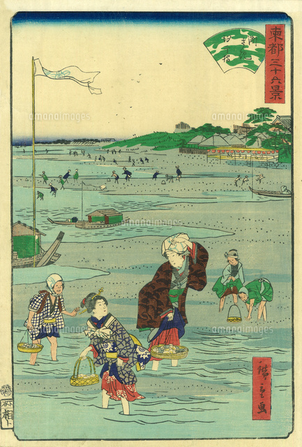 広重二代 東都三十六景 洲さき汐干狩[20086001990]の写真・イラスト