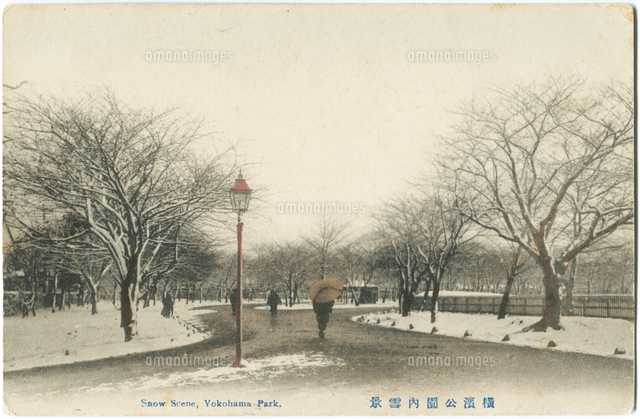 手彩色絵葉書 明治40 大正7年の間の発行 横浜風景 横浜公園内雪景 の写真素材 イラスト素材 アマナイメージズ
