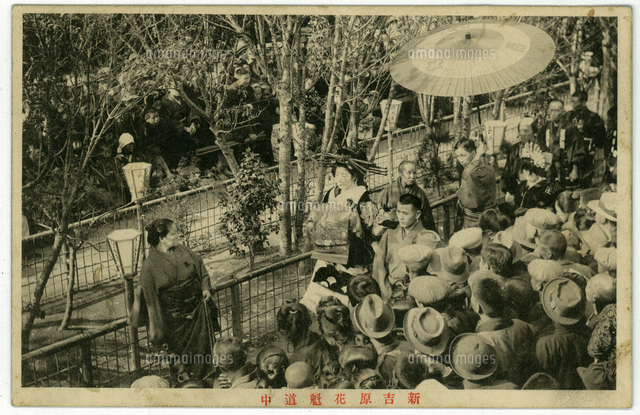 新吉原花魁道中 （明治40-大正7年の間の発行 写真絵葉書）[20086002768