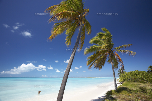 Coco Point, Barbuda, Caribbean, West Indies[20088000028]の写真素材・イラスト素材 ...