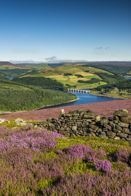View Over Ladybower Reservoir, Peak District National Park
