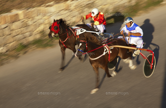 Original Mediterranean Races Mediterranean Europe, Malta. Horse races during the traditional feast ...