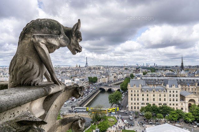 ガーゴイルオーナメント レジン（FRP） Amazon.co.jp: OwMell