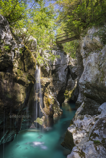 Slovenia Goriska Region Bovec The Soca Gorge At Velika Korita の写真素材 イラスト素材 アマナイメージズ