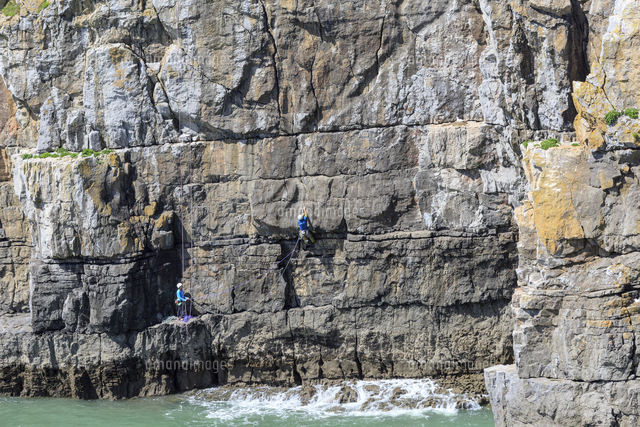 Wales, Pembrokeshire, Stackpole. Climbers in action at cliffs near ...