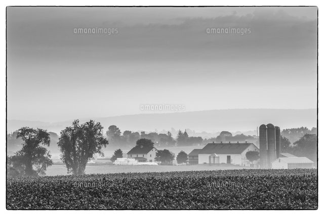 Usa Pennsylvania Pennsylvania Dutch Country Lancaster の写真素材 イラスト素材 アマナイメージズ