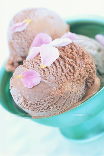 チョコレートアイスクリーム の写真素材 イラスト素材 アマナイメージズ