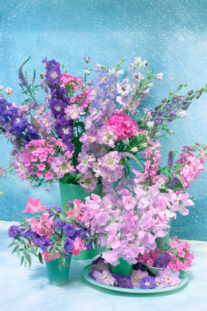 グリーンの花瓶に活けたデルフィニュームやスイートピー等 の写真素材 イラスト素材 アマナイメージズ