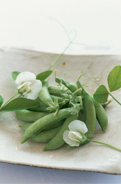 スナップえんどう の写真素材 イラスト素材 アマナイメージズ