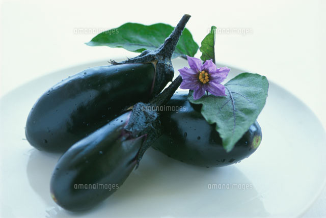 なすと花 の写真素材 イラスト素材 アマナイメージズ