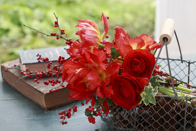 赤い花のブーケ の写真素材 イラスト素材 アマナイメージズ