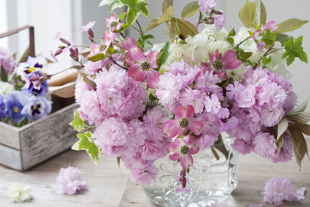 ❰ 感謝価格です♪❱ 造花アレンジメント♡ 八重桜・チューリップ・マム 八重桜のフラワーアレンジメント[21002003503]の写真・イラスト素材