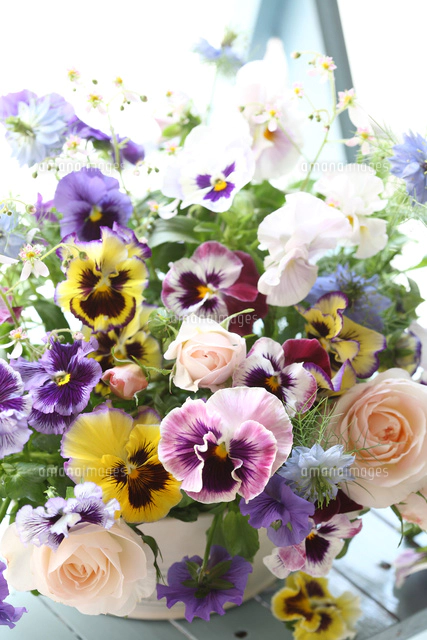 パンジーとバラのフラワーアレンジメント[21002003633]の写真