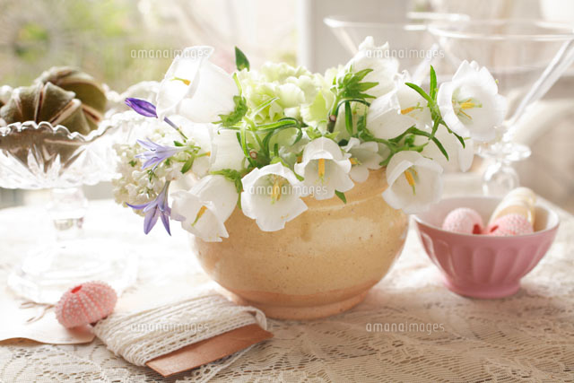 ボウルに入った白いカンパニュラ の写真素材 イラスト素材 アマナイメージズ