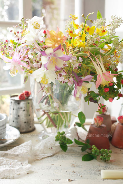 オダマキと蘭のアレンジメント a の写真素材 イラスト素材 アマナイメージズ オダマキと蘭のアレンジメント a の写真素材 イラスト素材 アマナイメージズ