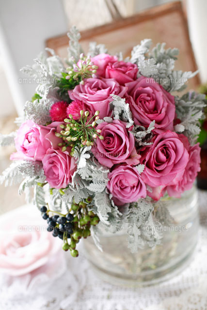 モーブピンクのバラとシルバーリーフ の写真素材 イラスト素材 アマナイメージズ