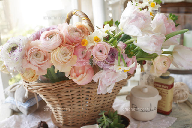 パステルカラーのラナンキュラスのバスケットアレンジ の写真素材 イラスト素材 アマナイメージズ