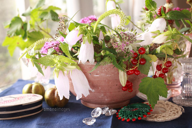 和の器にホタルブクロ の写真素材 イラスト素材 アマナイメージズ 和の器にホタルブクロ の写真素材 イラスト素材 アマナイメージズ