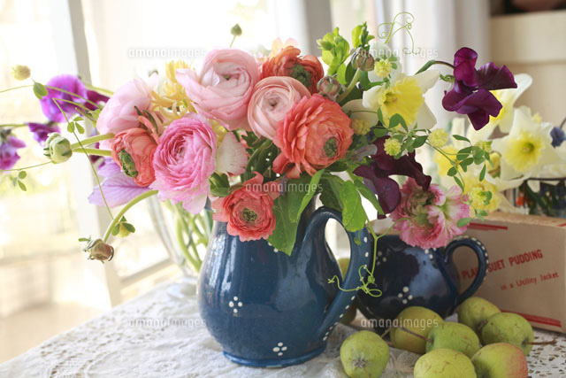 紺色のジャグに赤と緑のラナンキュラスとピンクのラナンキュラス a の写真素材 イラスト素材 アマナイメージズ