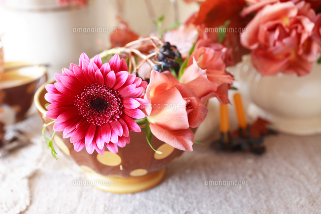 カフェオレボウルに濃いピンクのガーベラと茶色のバラ の写真素材 イラスト素材 アマナイメージズ