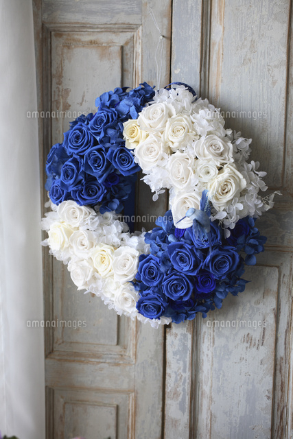 白と青のバラのプリザーブドフラワー リース アレンジメント の写真素材 イラスト素材 アマナイメージズ