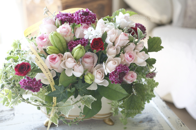 バラ サントワマミー のアレンジメント の写真素材 イラスト素材 アマナイメージズ