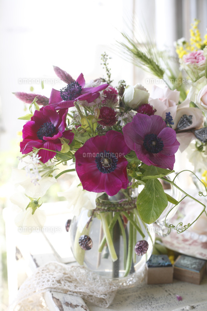 ガラスのピッチャーに紫のアネモネ の写真素材 イラスト素材 アマナイメージズ ガラスのピッチャーに紫のアネモネ の写真素材 イラスト素材 アマナイメージズ