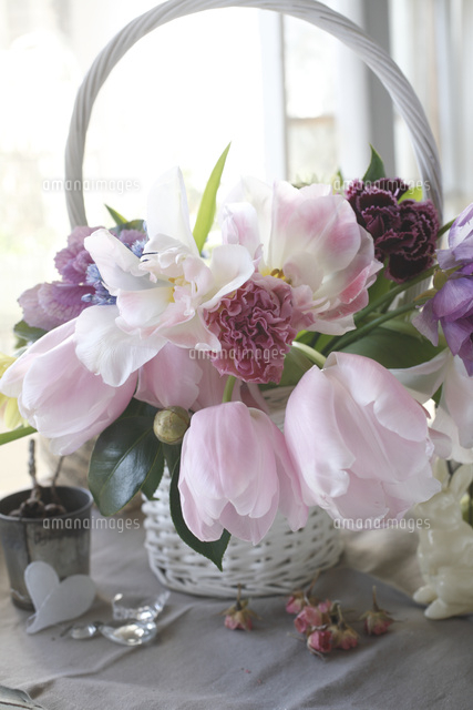 チューリップ ピンクダイヤモンド のアレンジメント の写真素材 イラスト素材 アマナイメージズ