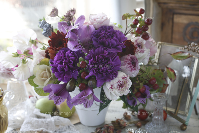 紫色のカーネーション ムーンダスト のアレンジメント の写真素材 イラスト素材 アマナイメージズ