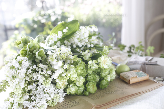 白いライラックとスズラン 緑のバラのブーケ の写真素材 イラスト素材 アマナイメージズ