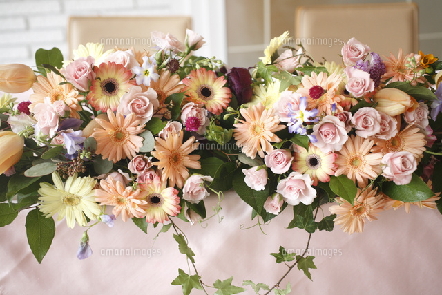 アプリコット色のガーベラのウェディングフラワー の写真素材 イラスト素材 アマナイメージズ