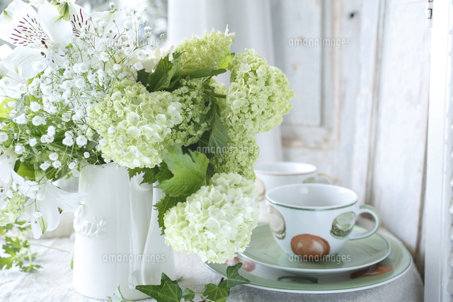 ビバーナムスノウボールのアレンジメント の写真素材 イラスト素材 アマナイメージズ