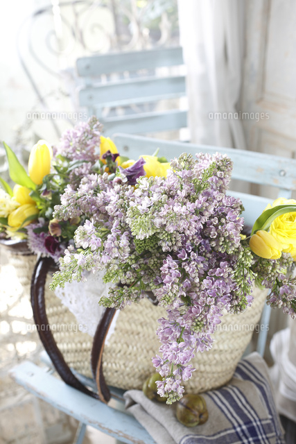 バスケットにライラックの花束 の写真素材 イラスト素材 アマナイメージズ