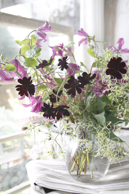 チョコレートコスモスとクレマチスのフラワーアレンジメント