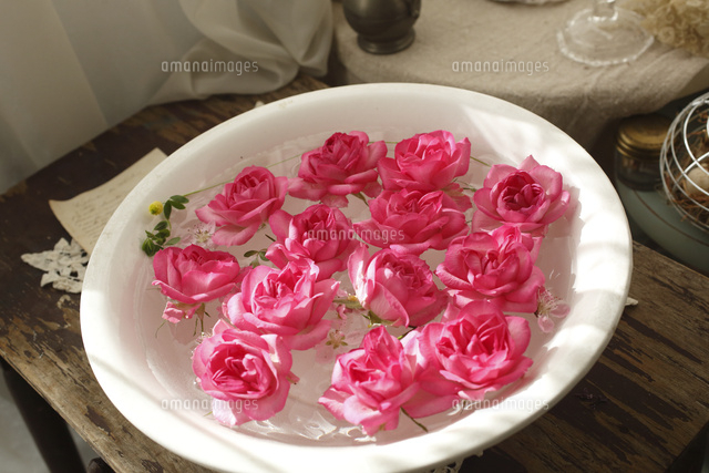 ボウルに浮かんだバラの花 の写真素材 イラスト素材 アマナイメージズ